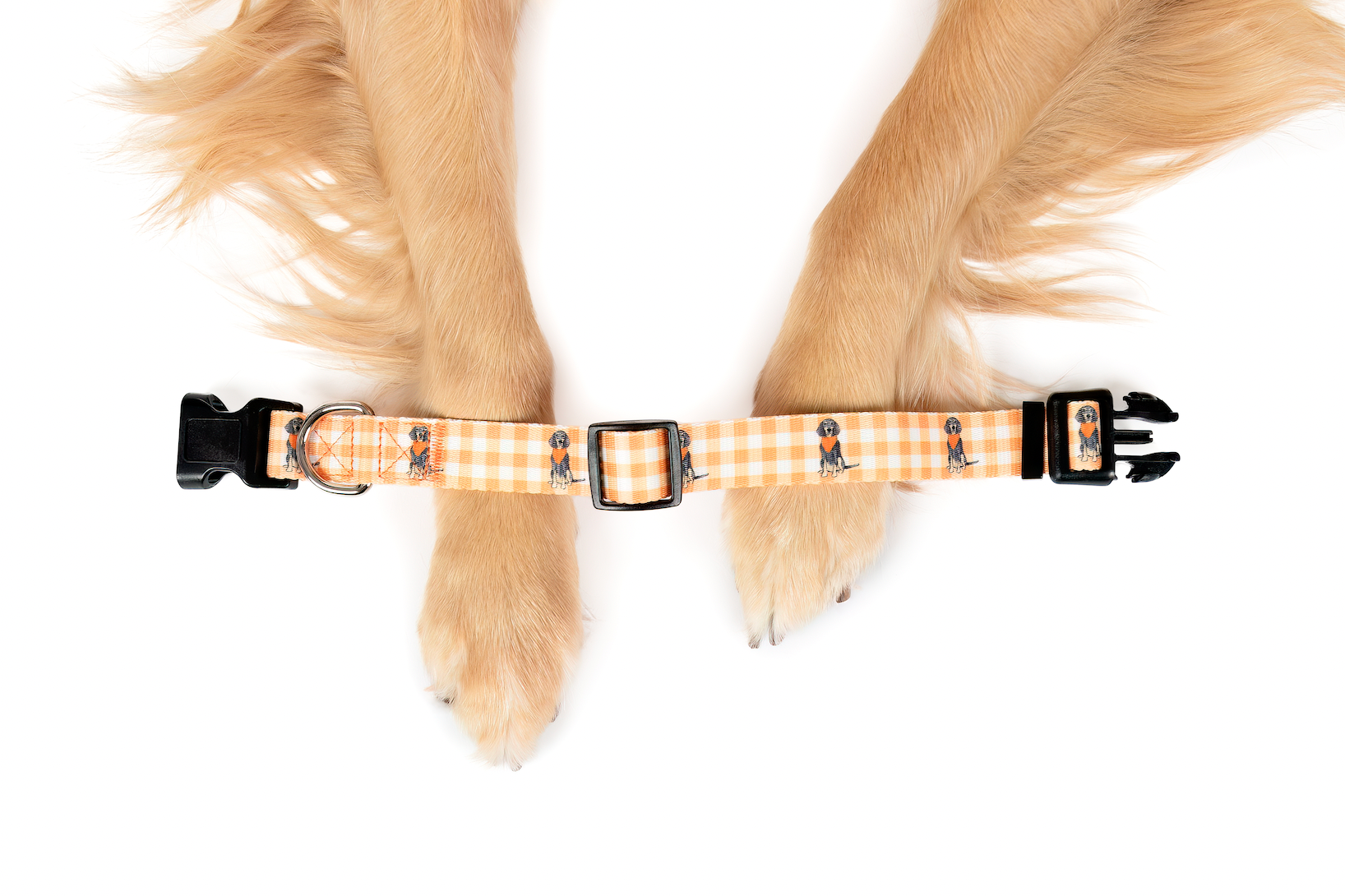 Bluetick Coonhound Gingham Dog Collar - Barrel Down South