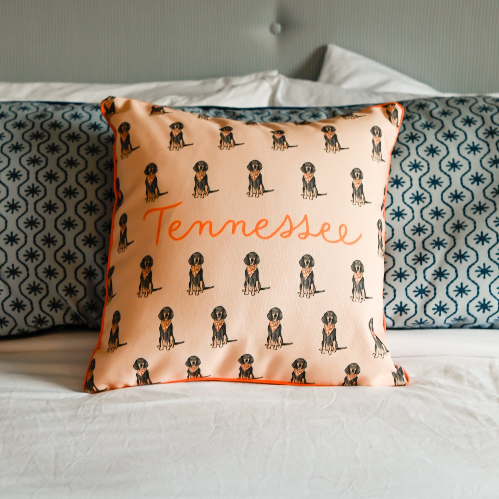 Bluetick Coonhound Tennessee Gingham Pillow - Barrel Down South