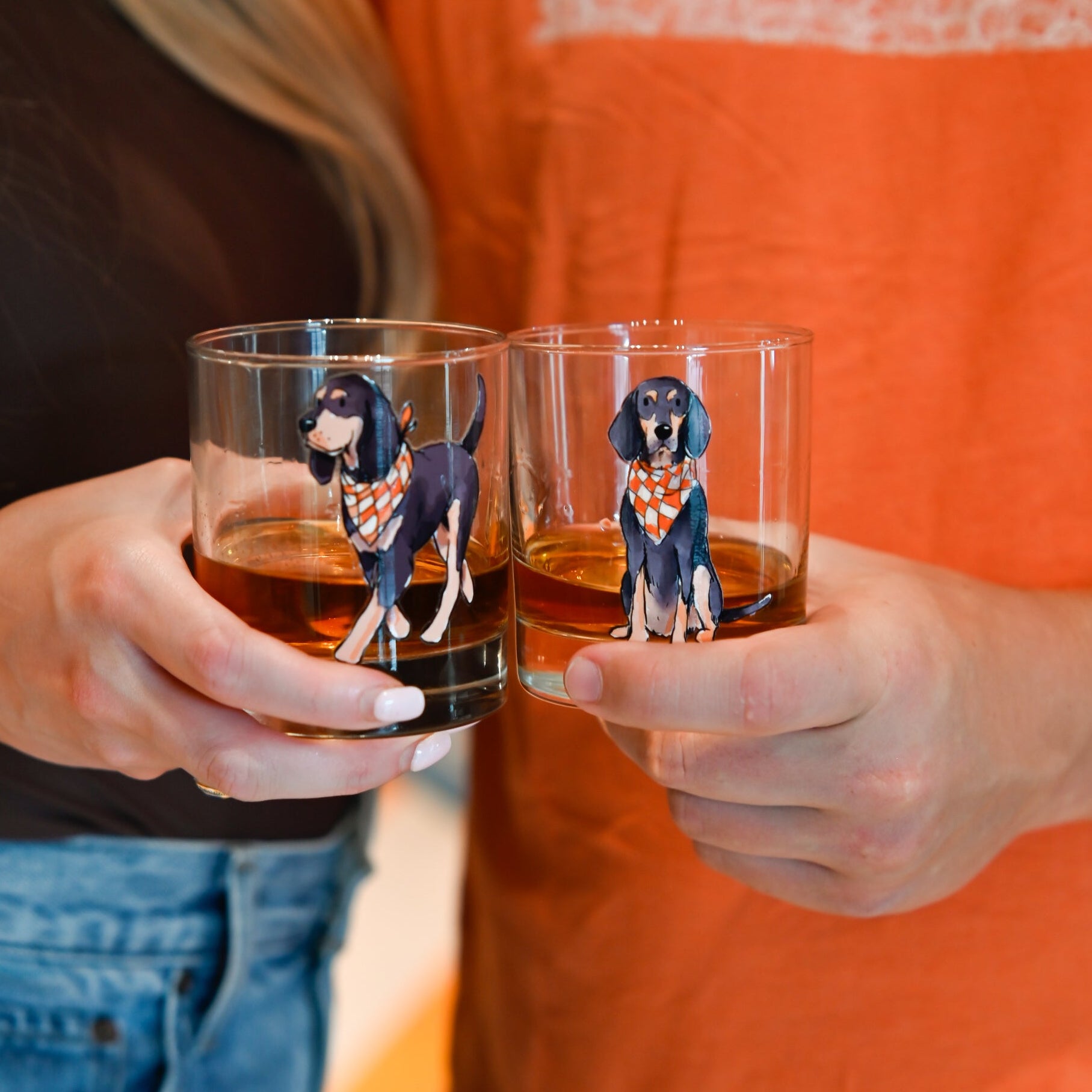 Bluetick Coonhound Sitting Rocks Glass - Barrel Down South