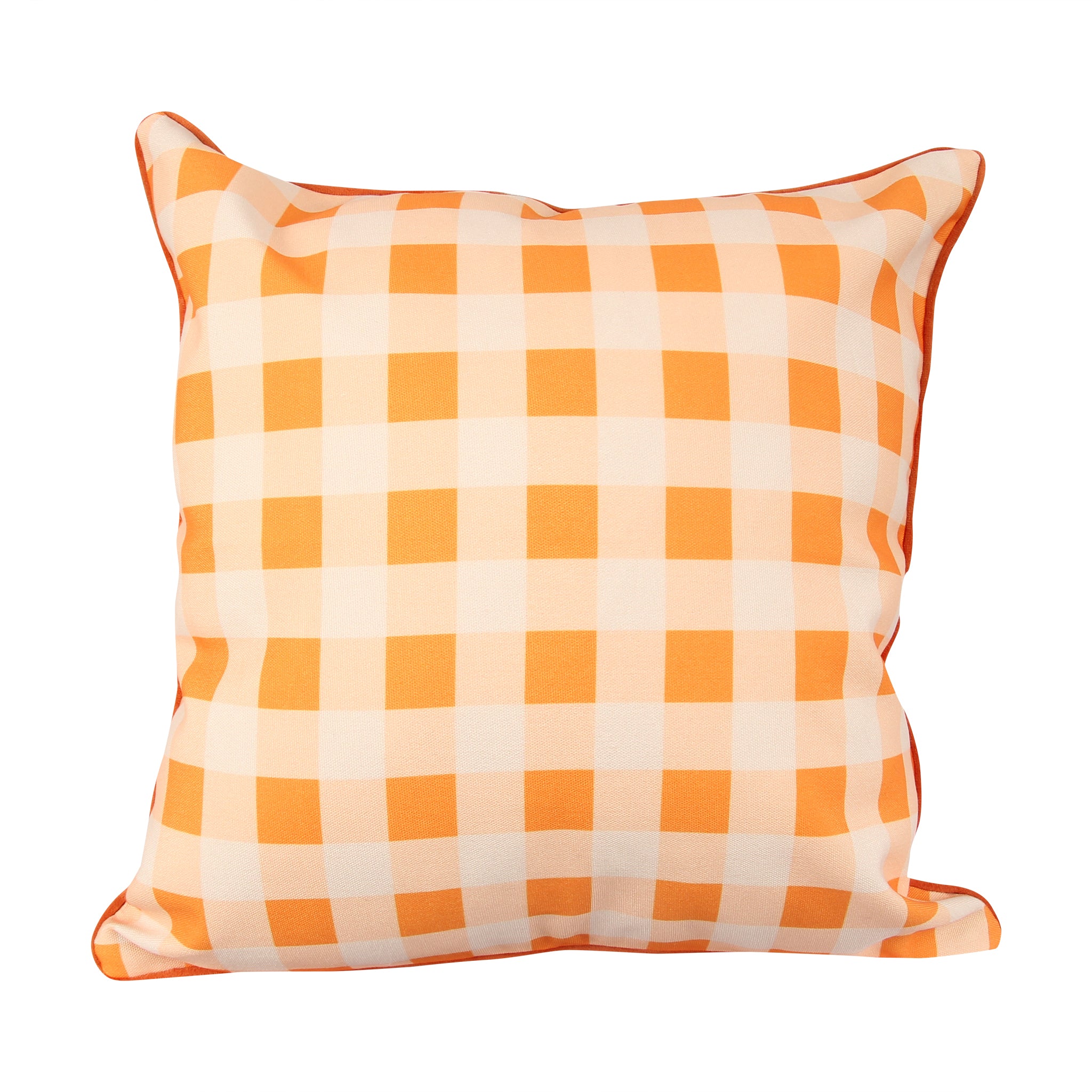 Bluetick Coonhound Gingham Pillow - Barrel Down South