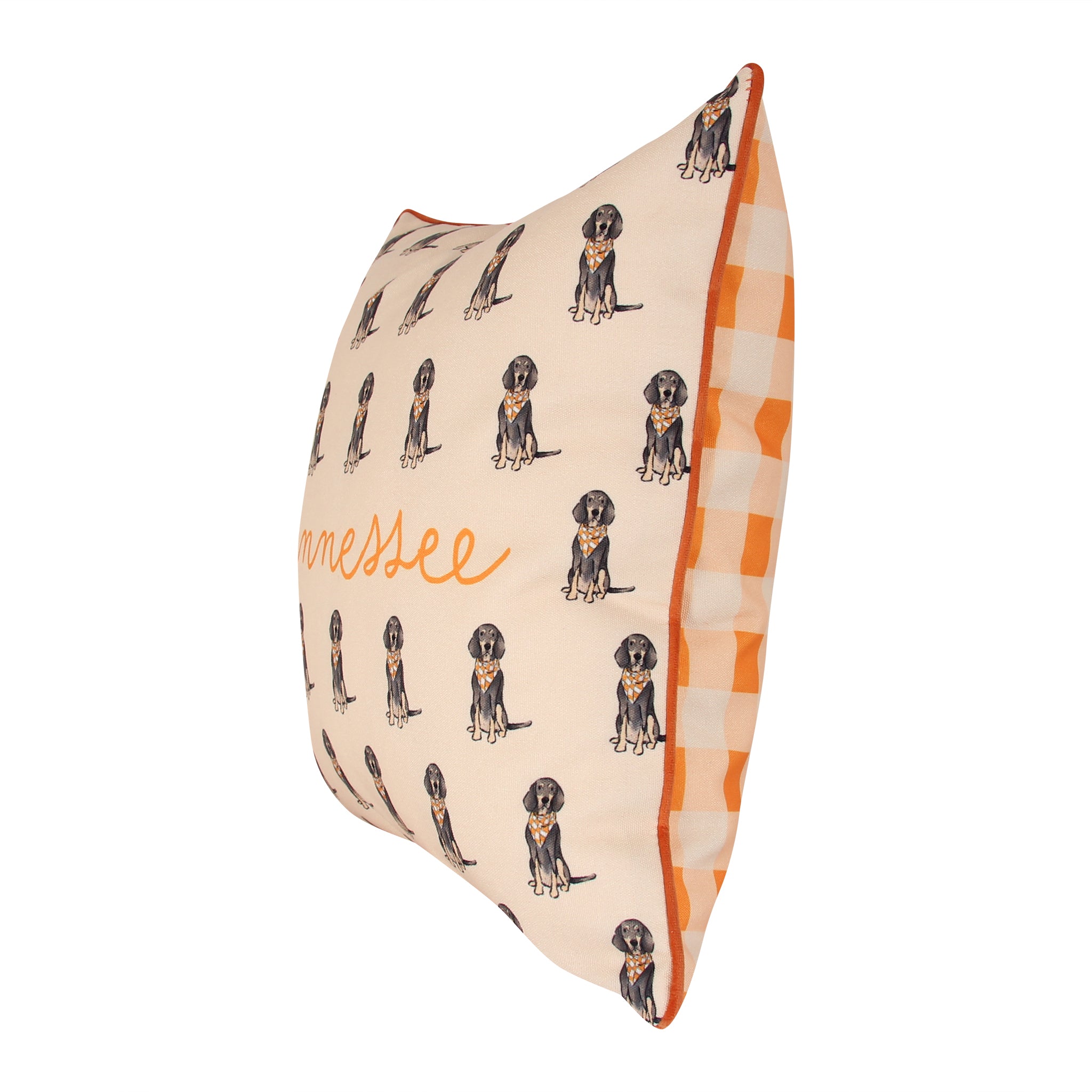 Bluetick Coonhound Tennessee Gingham Pillow - Barrel Down South