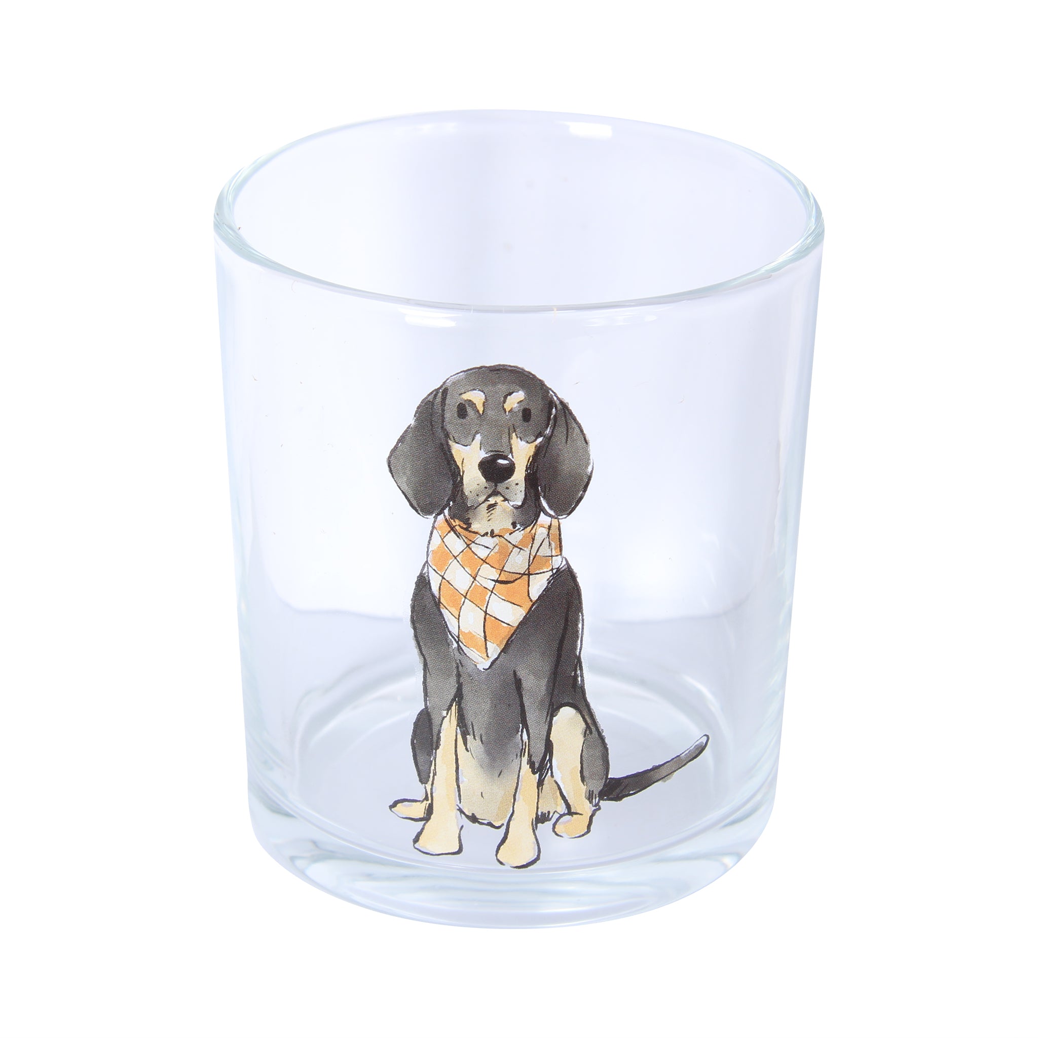 Bluetick Coonhound Sitting Rocks Glass - Barrel Down South