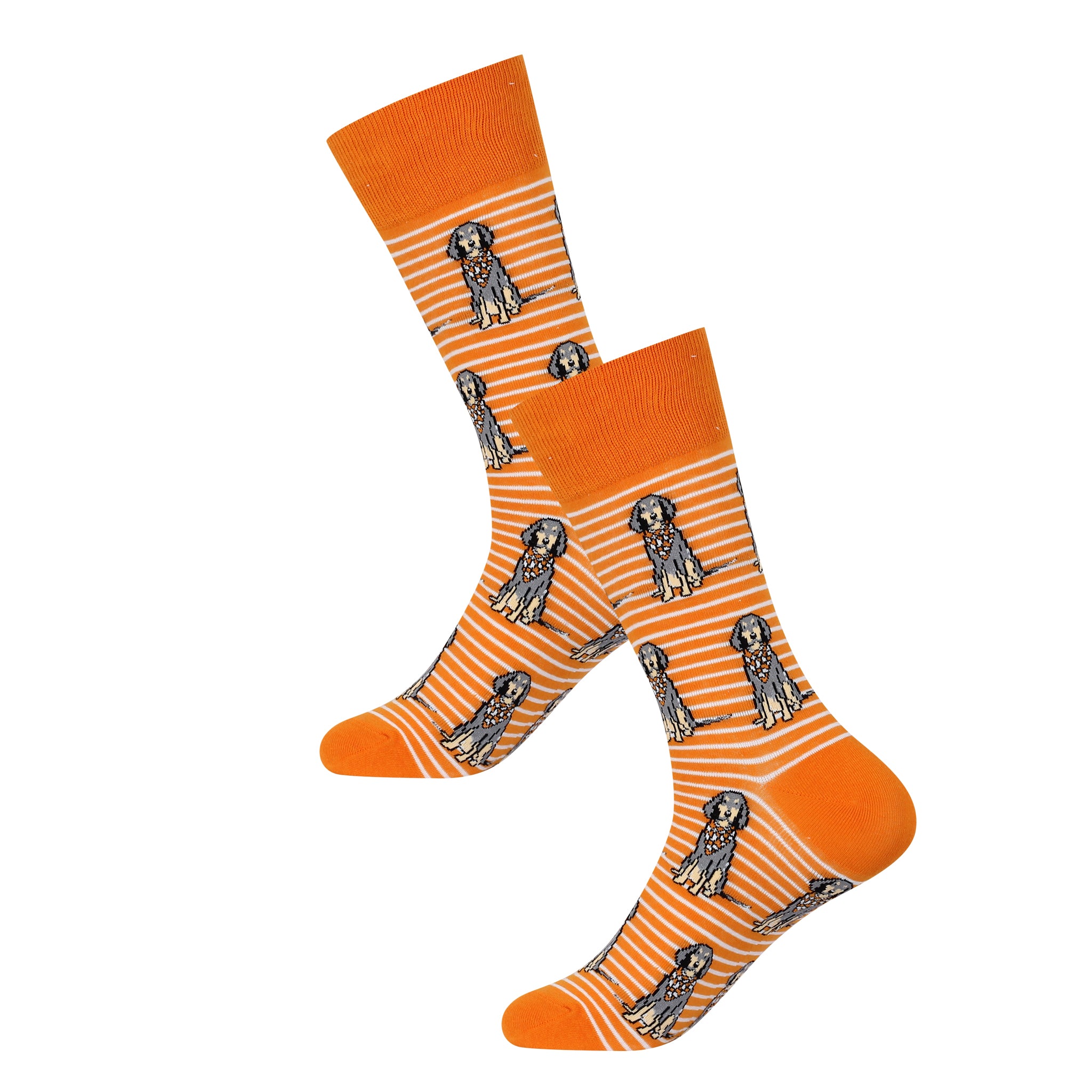 Sitting Bluetick Coonhound Socks - Barrel Down South