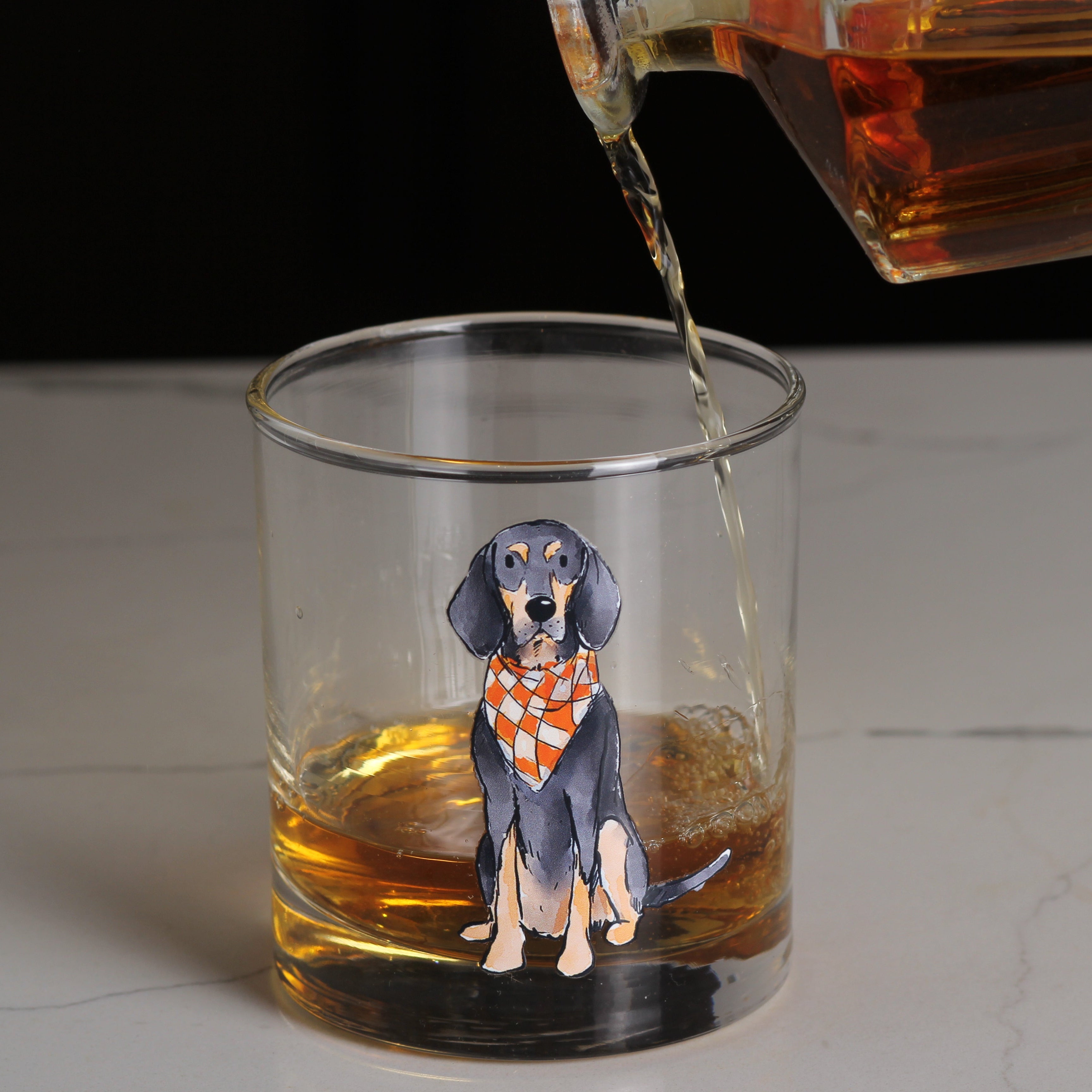Bluetick Coonhound Sitting Rocks Glass - Barrel Down South