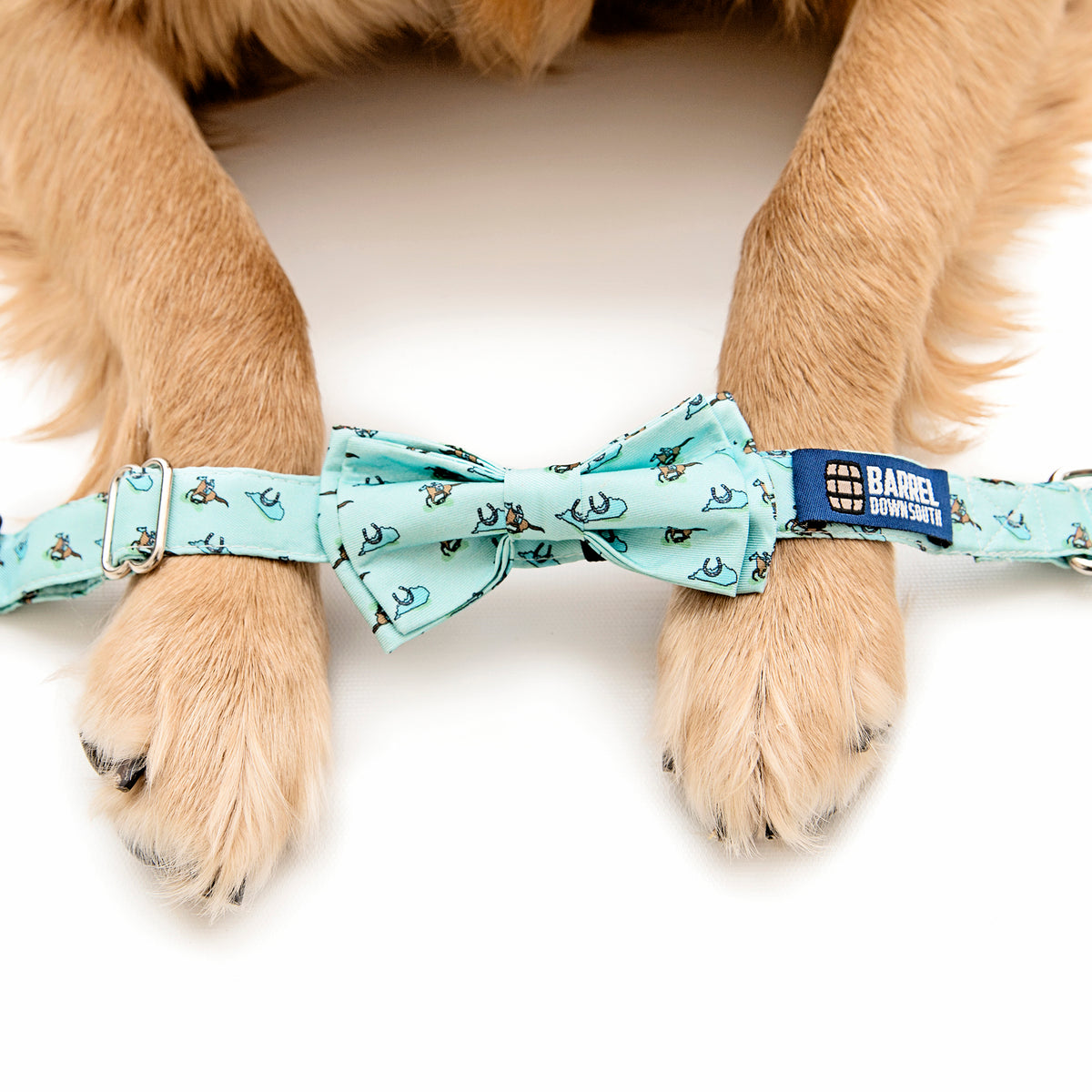 Raceday Dog Collar - Barrel Down South