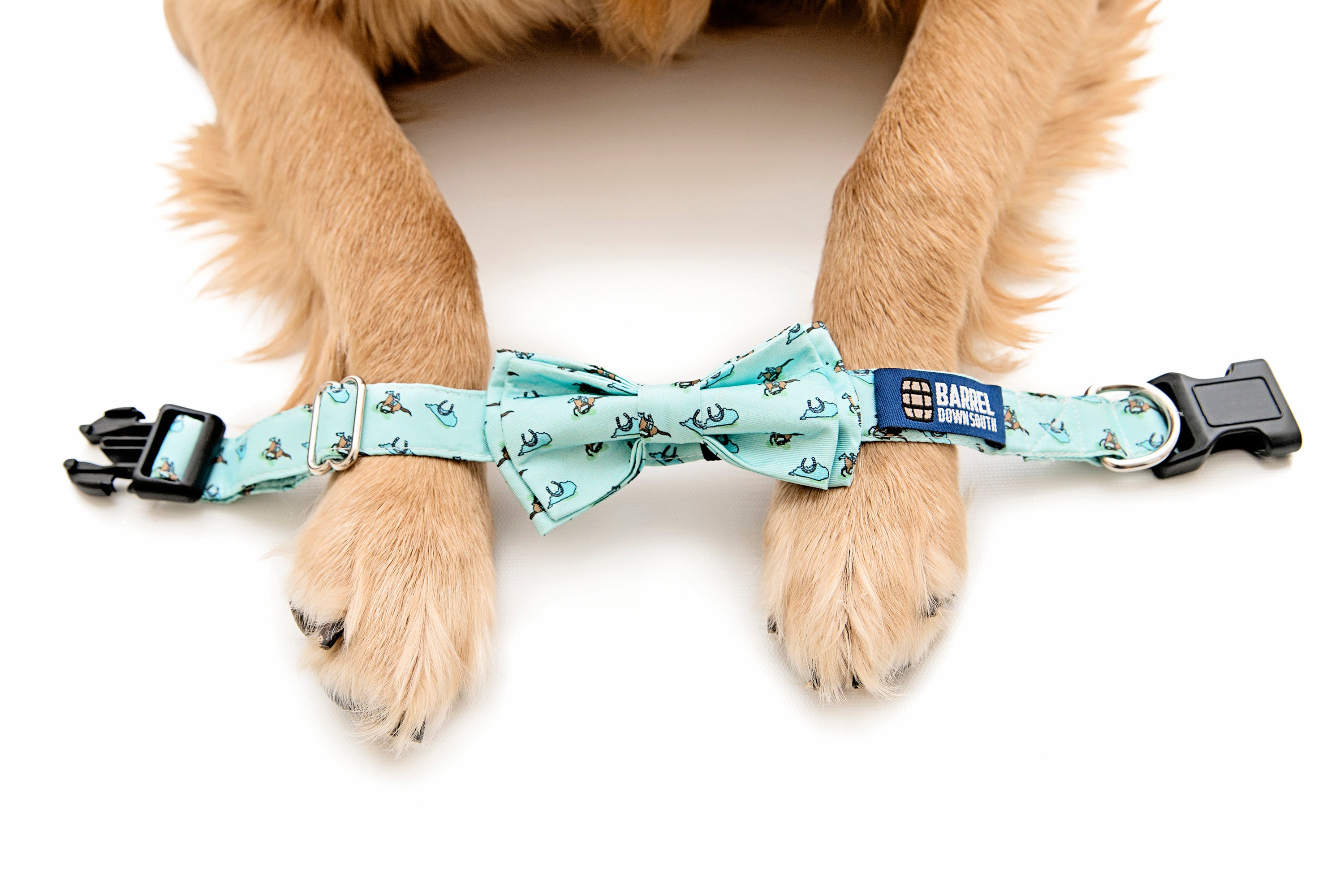 Raceday Dog Collar - Barrel Down South