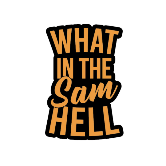 What In The Sam Hell Funny Southern Sticker - Barrel Down South