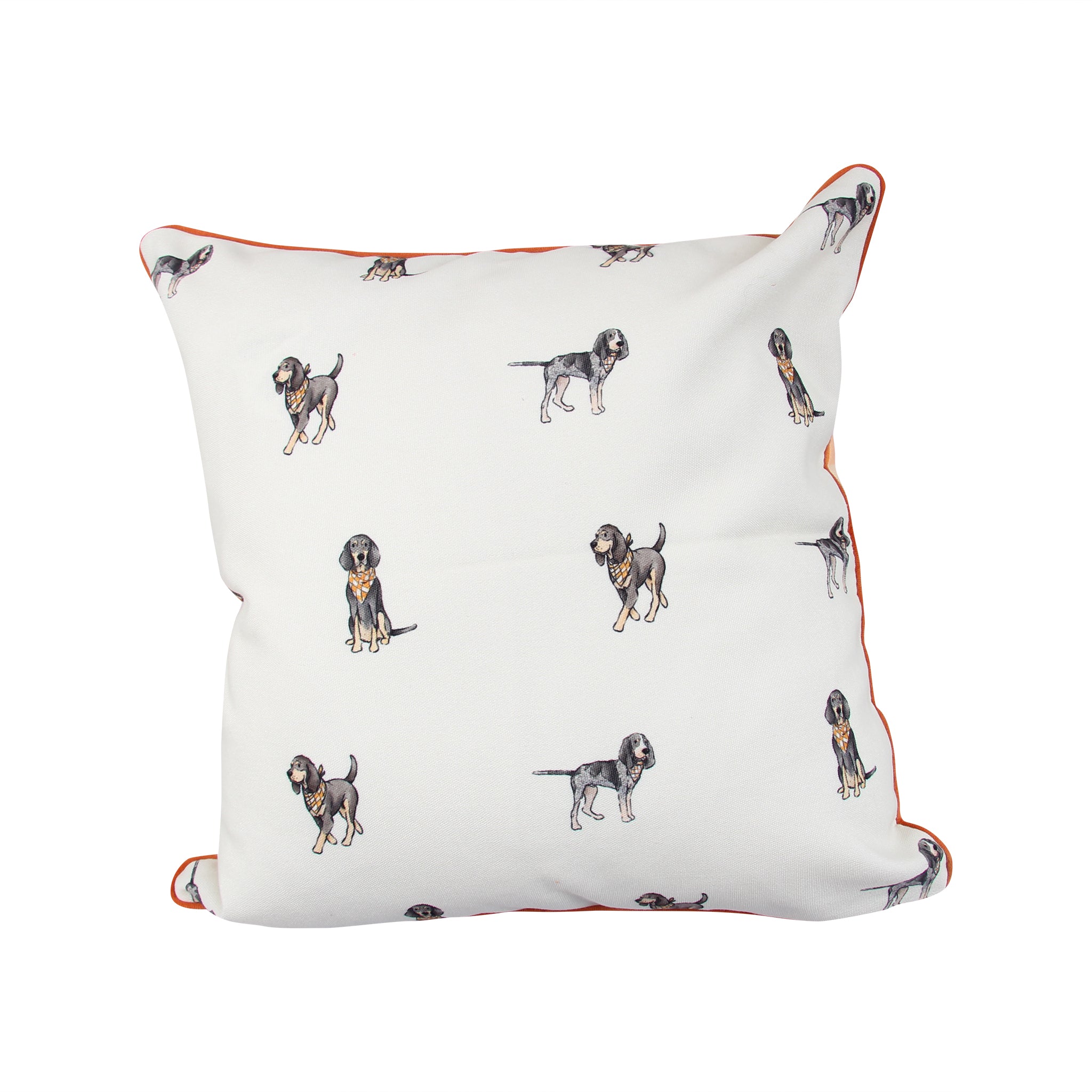 Bluetick Coonhound Tennessee Gingham Pillow
