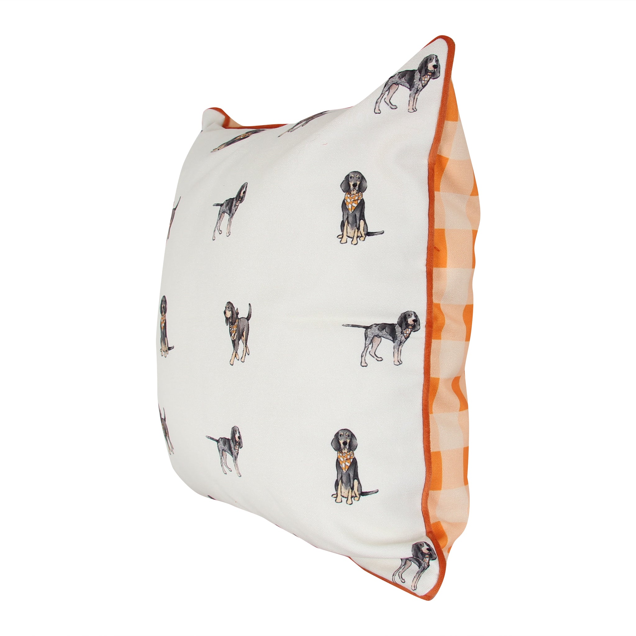 Bluetick Coonhound Tennessee Gingham Pillow - Thumbnail 2