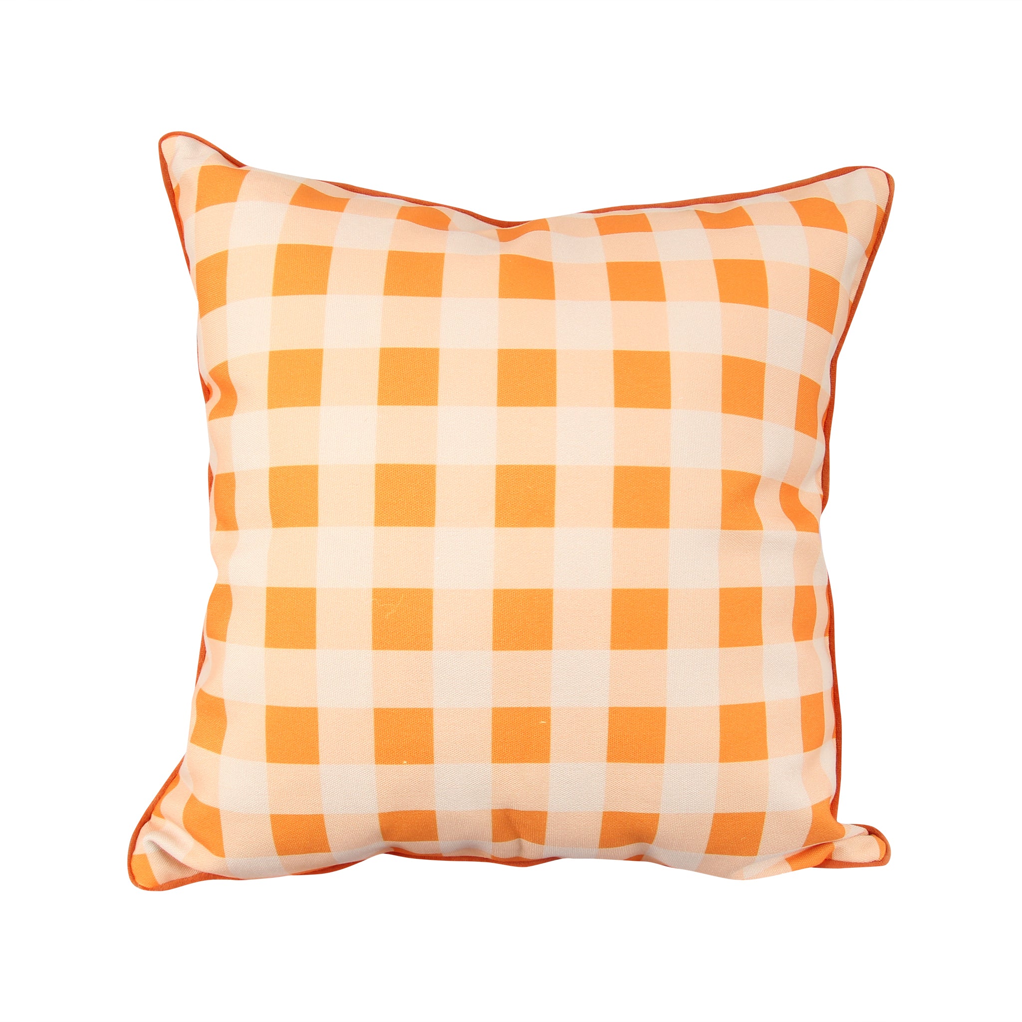 Barrel Down South Bluetick Coonhound Pillow - Thumbnail 2