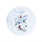 Ski Marble Coaster - Barrel Down South