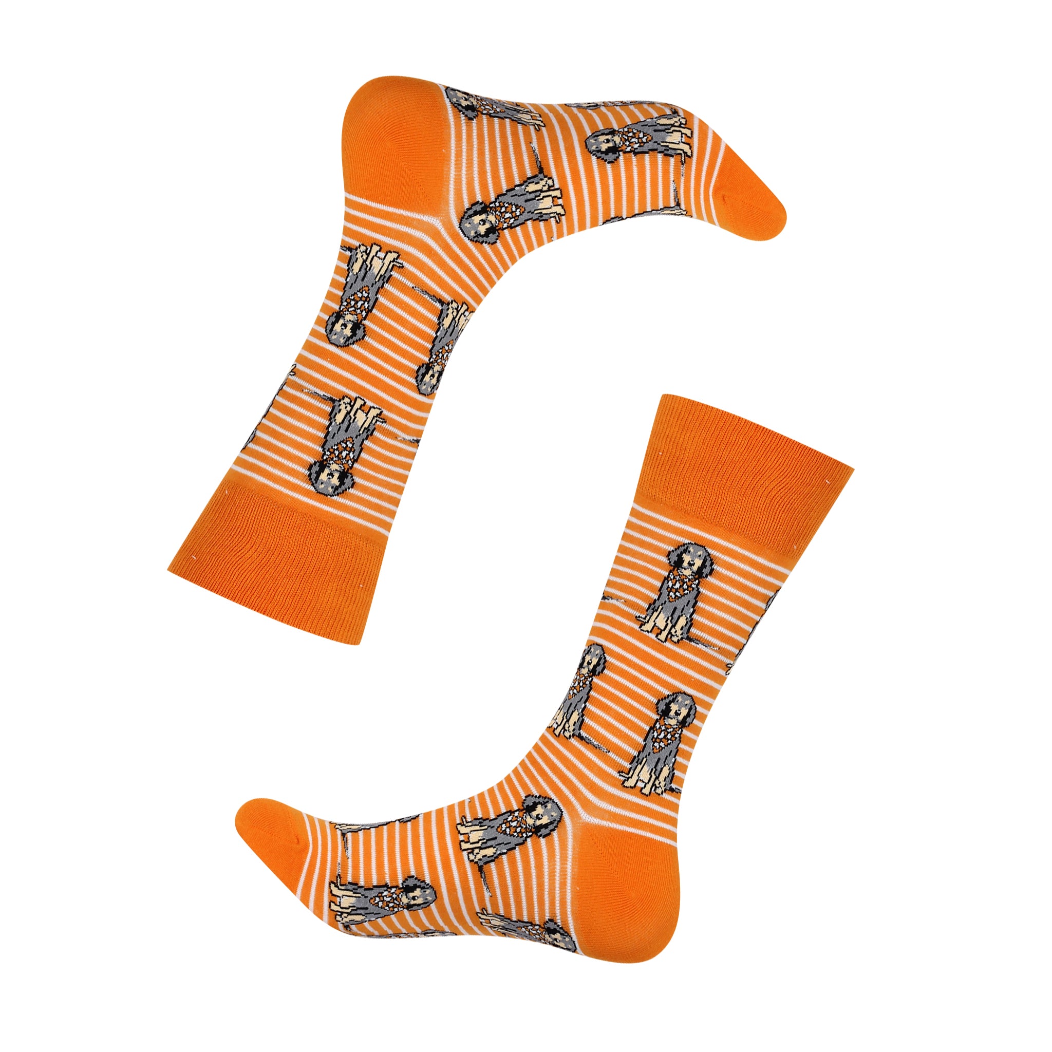 Sitting Bluetick Coonhound Socks - Barrel Down South