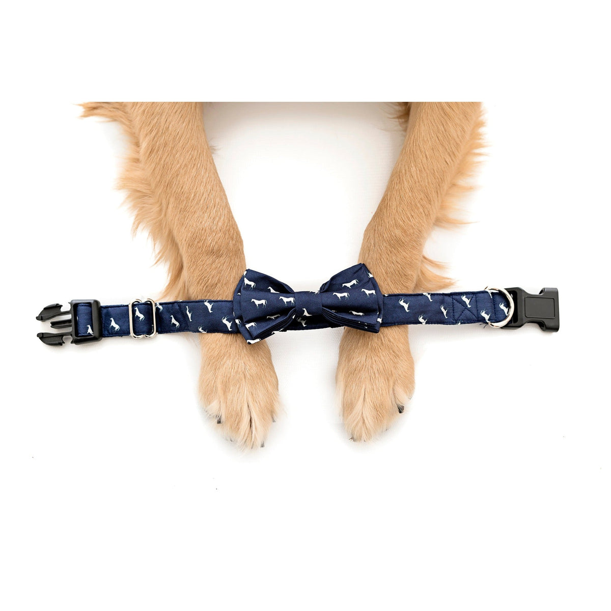 Winners Circle Dog Collar - Barrel Down South