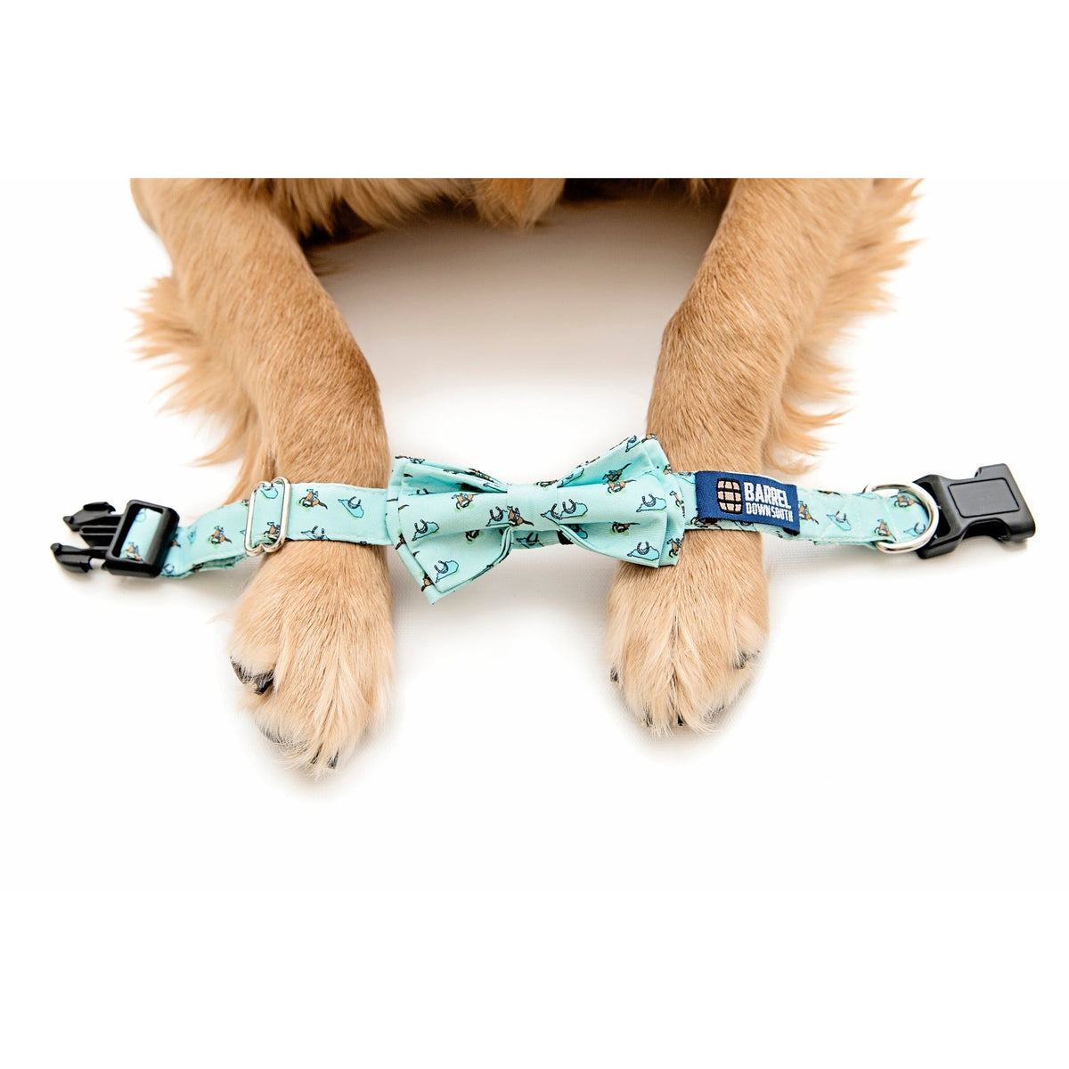 Raceday Dog Collar - Barrel Down South