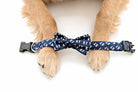 Navy KY Dog Collars - Barrel Down South