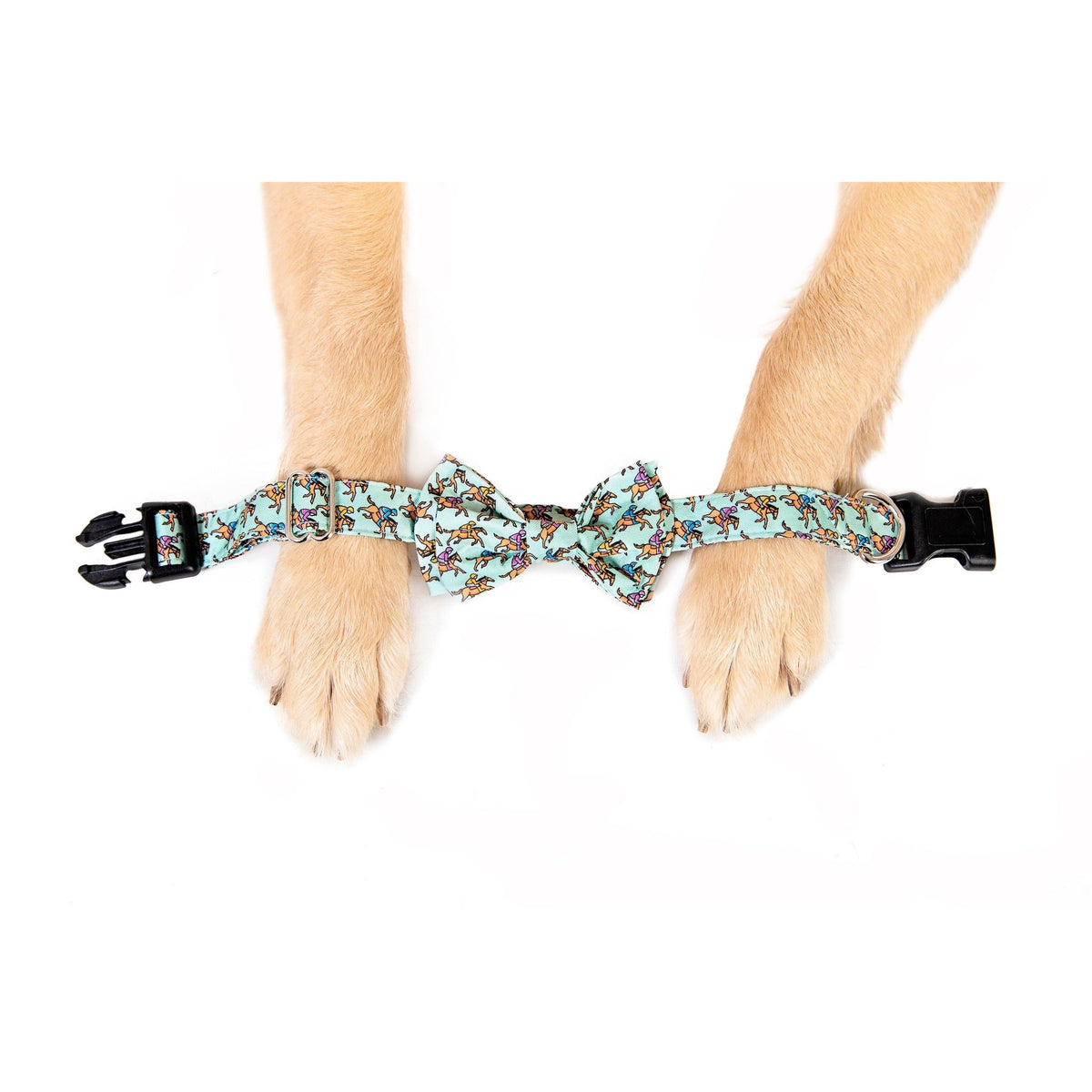 Furlong Dog Collar - Barrel Down South