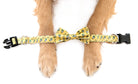 Julep Dog Collar - Barrel Down South