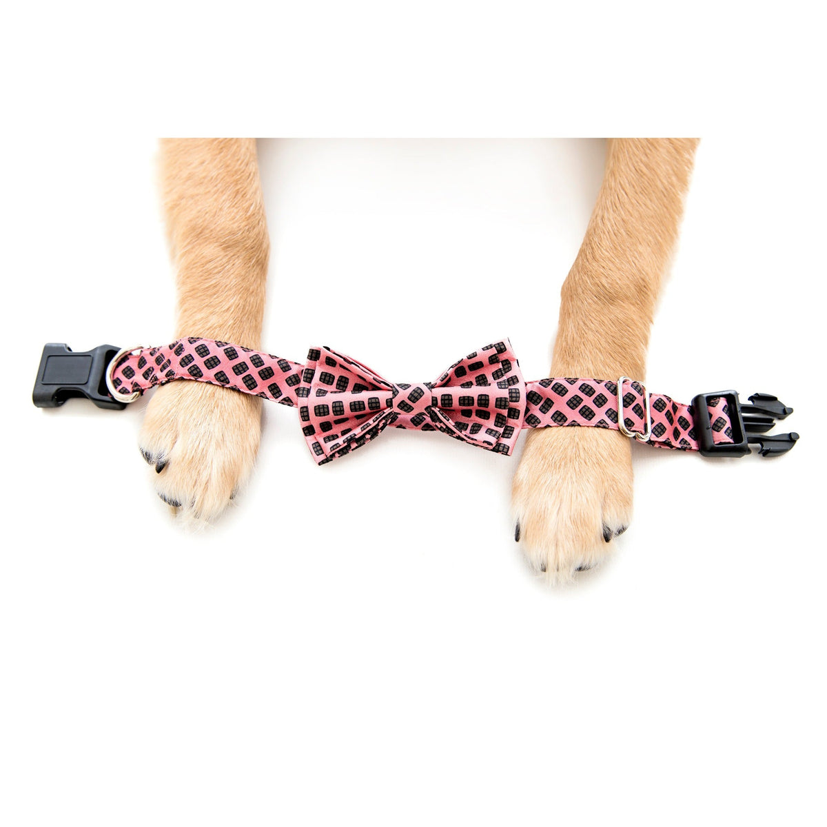 Barrel Aged Dog Collar - Barrel Down South