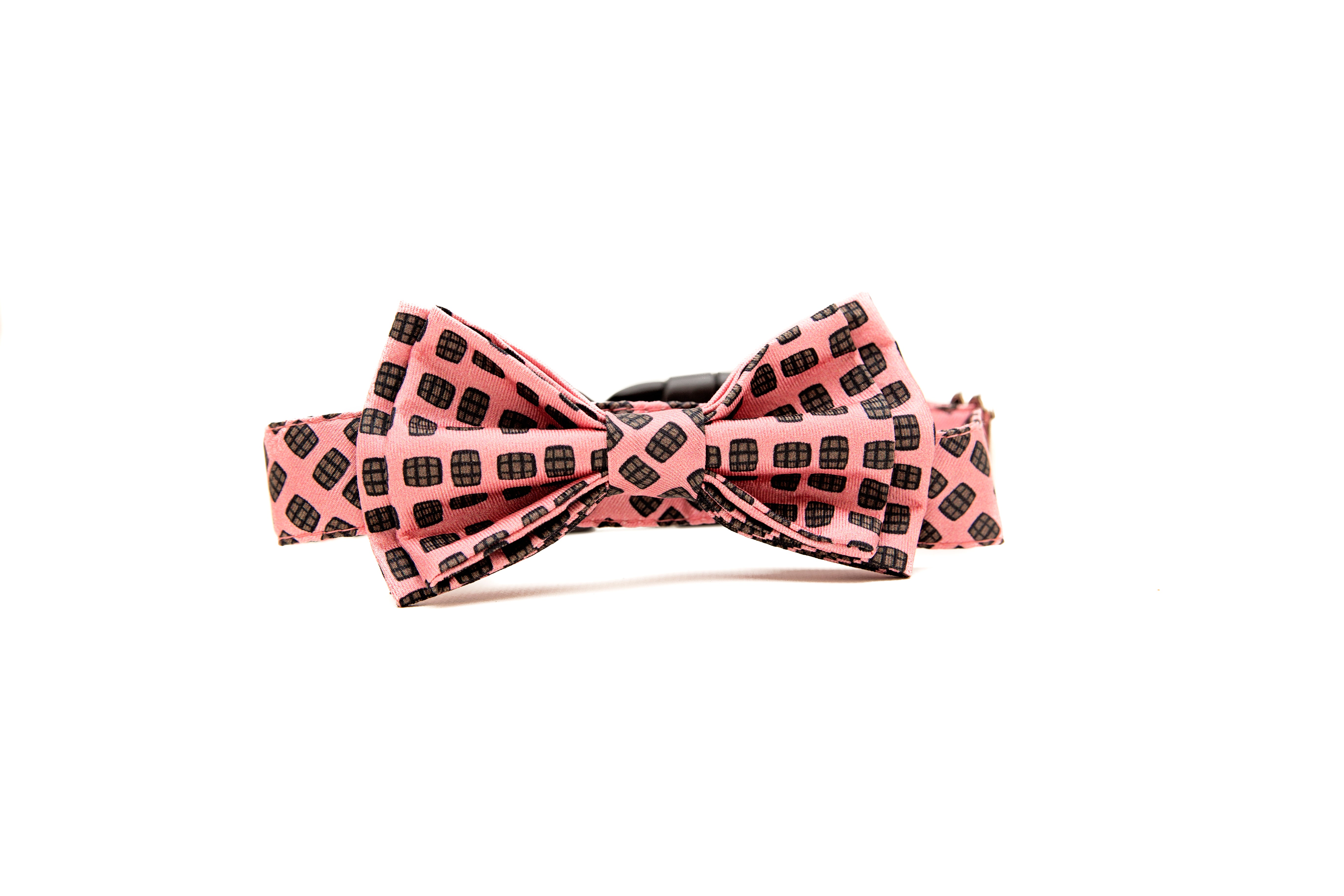 Barrel Aged Dog Collar - Barrel Down South